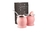 Reunata Kit Mate Termico Plastico Pary Pro+bombillla+yerbera en internet