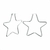 Brinco Argola Estrela Grande Ou Inox