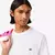 CAMISA LACOSTE MINI LOGO - loja online