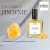 Coffret Perfume Gemma Turmalina 100ml + Pingente de Presente - Ponte Vecchio Joias