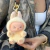 Imagen de Labubu Have A Seat Muñeca Sorpresa La Bubu Pop Mart Premium