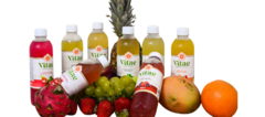 Banner da categoria Kombucha