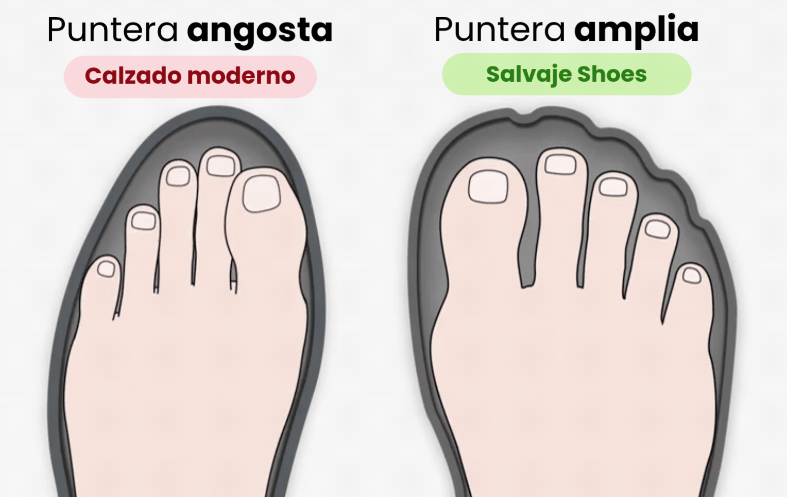 Comparación: Puntera angosta vs Puntera amplia
