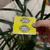 Sticker Retangular na internet