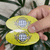 Sticker Oval na internet
