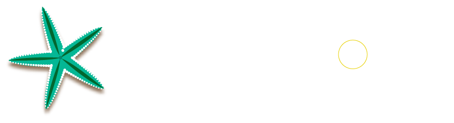 Spinelli joias