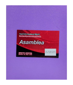 CUADERNO ASAMBLEA ABC T/C 98H RAYADO - comprar online