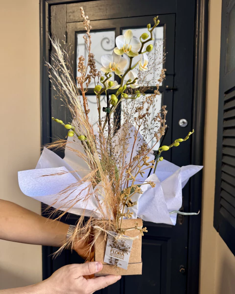 Mini Orquídea Phanaelopsis - comprar online