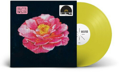 Pré Venda - Post Malone Tribute to Nirvana [RSD25] - comprar online