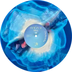 Magdalena Bay Imaginal Disk (Blood Records) na internet