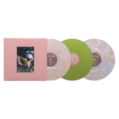 Pré Venda - Hayley Williams FLOWERS for VASES /descansos & Petals For Armor (RSC/Indie Exclusive) - comprar online