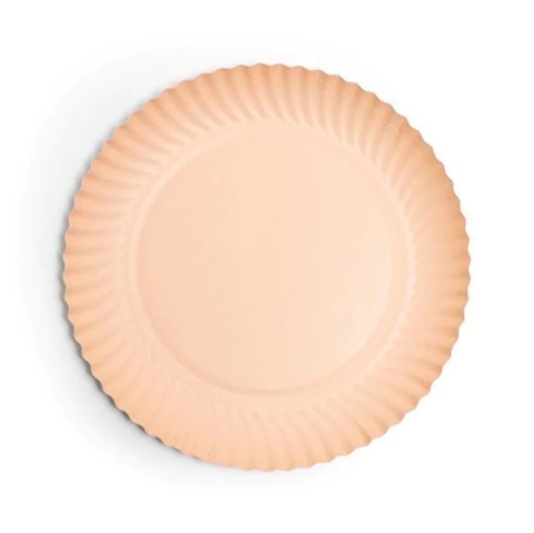 BANDEJA CARTON SALMON X6