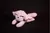 Peluches de Tela Genshin Impact - Teyvat Merch