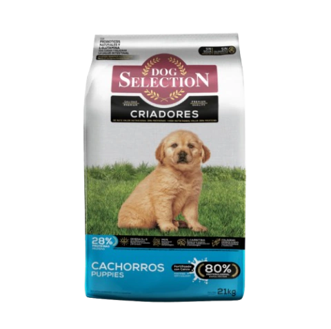 DOG SELECTION - Criadores cachorro
