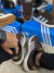 TÊNIS ADIDAS CAMPUS MARROM - loja online