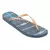 CHINELO DE DEDO IPANEMA NAVY FEM AZUL/OURO - loja online