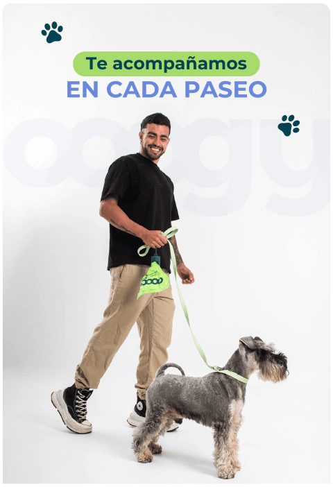 Carrusel 1