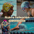 Carrusel Swam Sports