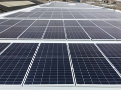 Panel solar Monocristalino 545W EGING PV - comprar online