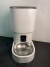 Alimentador Automático 4l Dispenser Ração Para Gato E Cão - comprar online