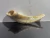 Shofar Chifre De Carneiro De Ungir E Tocar - comprar online