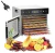 Desidratadora Industrial Profissional 8 Bandejas 400w Cor Prateado - comprar online