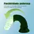 Senhor Pepino - Gran Dildo Realista com Ventosa – Verde Monster 21cm - loja online