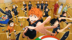 Banner de la categoría Haikyuu
