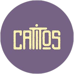 Catitos Moda Divertida 