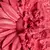 BLUSH COMPACTO MARGARIPETALA 6,8G - comprar online