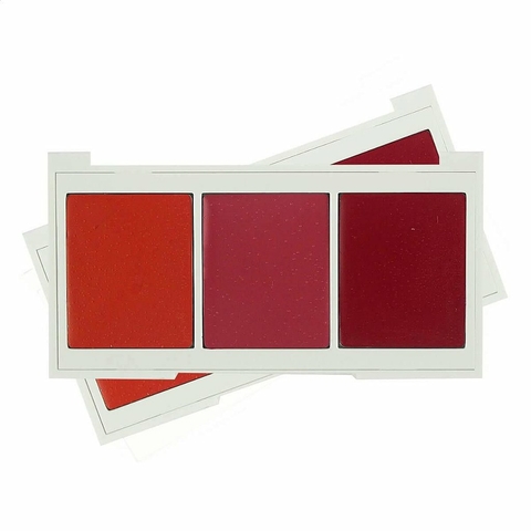 PALETA DE BLUSH LIP E CHEEK NATHALIA CAPELO 9G
