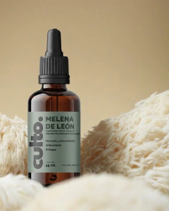 MELENA DE LEON - Hericium Erinaseus