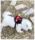 Mochila Portátil para Cachorro - Praticidade e Diversão - loja online