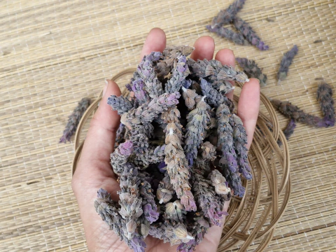 Lavanda para fazer escalda pés 
