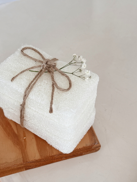 Set de 3 esponjas para platos
