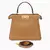 Bolsa Courmayeur na internet