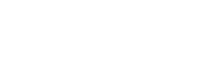 Revoluto Company