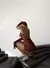 Dress Daenerys en internet