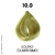 Coloração Prohair 10.0 LOURO CLARISSIMO Profissional 60G PRO COLOR na internet