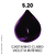 Coloração Prohair 5.20 CASTANHO CLARO VIOLETA INTENSO Profissional 60G PRO COLOR - comprar online