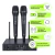 Microfone Sem Fio Profissional de Mão Duplo Armer AW602 HT com Maleta e Bateria Recarregável - comprar online