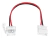 Conector Doble Para Tira Led Con Cable 2835 3528 5050 Rgb - tienda online