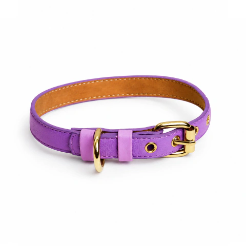 Collar de lujo Perro Violeta