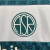 Camisa Roma Edição Especial 23/24 - Torcedor New Balance Masculina - Verde com detalhes em branco - Dirpus