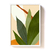Planta Terroso na internet