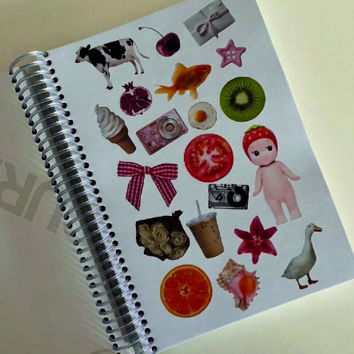 ALBUM Y STICKERS