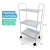 Mesa Carrinho Auxiliar 2 Prateleiras e 1 Bandeja - Branca - ALP COMERCIO DE PRODUTOS PARA SAUDE LTDA