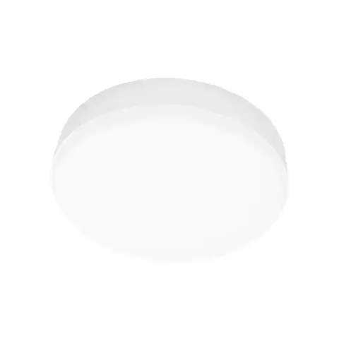 Panel LED Exterior Redondo sin marco 42W 22cm Luz Neutra