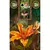 Fairy Lenormand - La Tienda de Cristal