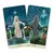 Imagen de Viceversa Tarot